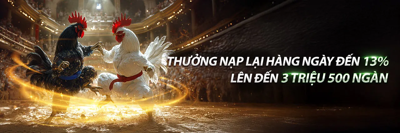 Hình ảnh tổng quan về nền tảng g66 link vào